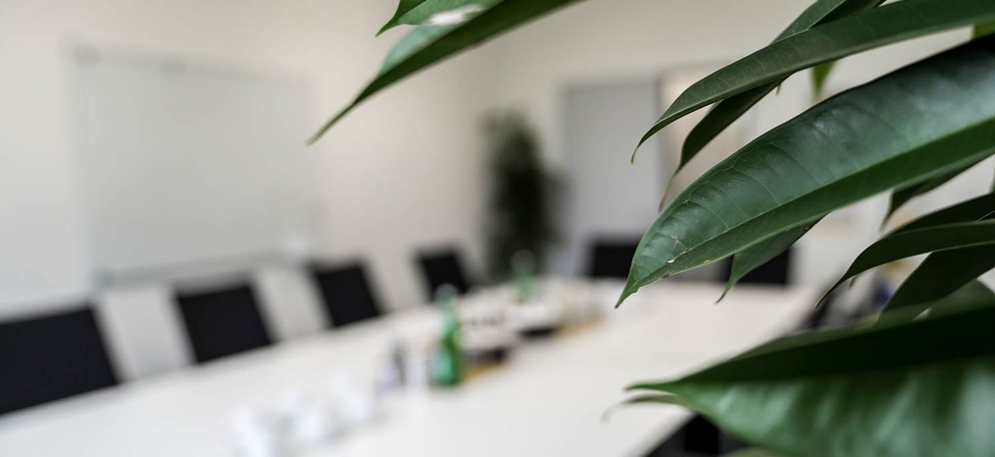 Plant in conference room as symbol for climate protection